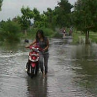 Puluhan Hektar Sawah di Sekitar Penambangan Kapur di Tuban Terendam