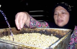 Amerika & Malaysia, Eksportir Kedelai Terbesar ke Indonesia