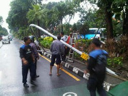 Diduga Pondasi Tidak Kuat, TL Depan Taman Bungkul Roboh 