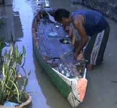 Bojonegoro Masih Siaga 2 Banjir