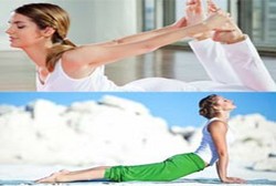 Yuk Coba! 7 Gerakan Yoga Asana Ini Bisa Melangsingkan Tubuh