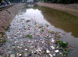 Ini Dia Kali Ciliwung yang akan Ditata Jokowi sebagai Percontohan