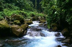 Lau Berte, Surga Tersembunyi dari Sumatera Utara