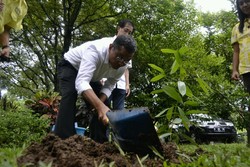 Lahan Perhutani di Blora akan Ditanami Empon-empon