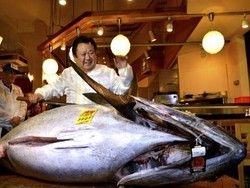 Rekor Baru Tahun Ini, Bluefin Tuna Dijual Rp. 15,5 Miliar!