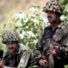 Tentara Pakistan & India Terlibat Baku Tembak di Perbatasan Kashmir