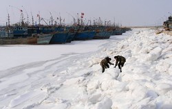 Musim Dingin Terburuk di China, Suhu -40 Derajat Celcius