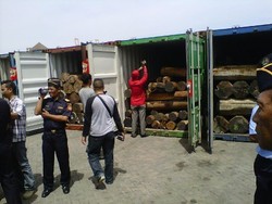 Ekspor 14 Kontainer Kayu Ilegal Berhasil Digagalkan di Semarang