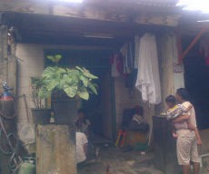 Cerita Warga yang Diserang Monyet Ngamuk Usai Salat