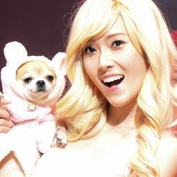 Kelelahan, Jessica SNSD Jatuh di Panggung