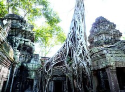 Menjelajah Angkor Wat ala Angelina Jolie