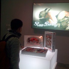 Raw Bunny, Kritik Budaya Konsumerisme Lewat Kelinci