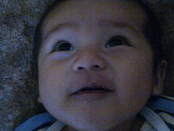Muhammad Enzo Al-Fadlian, 6 Bulan, Lelaki