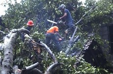 Angin Kencang Landa Bantul, Belasan Rumah Rusak Tertimpa Pohon Tumbang