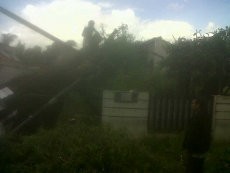 Atap Rumah di Cipete Ringsek Tertimpa Pohon Asem