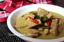 Hm.. Gurihnya Tempe Kuah Santan