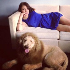 Duh! Mirip Singa, Anjing Ini Bikin Panik Warga Virginia AS