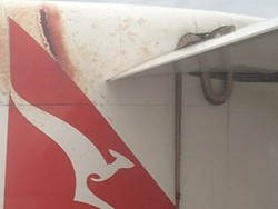 Pramugari, Ada Ular di Sayap Pesawat!