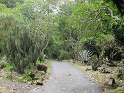 Mau Liburan Ala Meksiko? Datang Saja ke Bogor