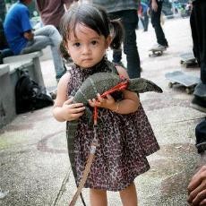 Kenali Binatang Reptil Lebih Dekat, Yuk!