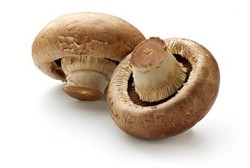 Jamur, Makanan Kaya Gizi yang Baik untuk Pasien Diabetes dan Obesitas