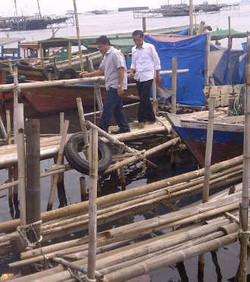  Jokowi Ingin Akses Jalan ke Pelabuhan New Tanjung Priok Tak Macet