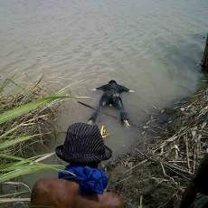 Warga Rembang Ditemukan Tewas Mengapung di Bengawan Solo