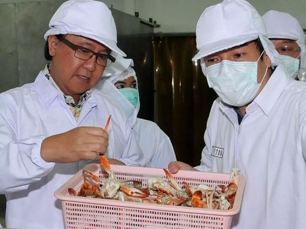 Tren Positif Ekspor Perikanan Indonesia