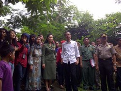  Hijaukan Jakarta, Jokowi: Kita Belanja Tanaman Rp 1 Triliun Kalau Perlu