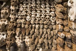 9 Objek Wisata Paling Ngeri di Dunia