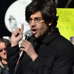 Akhir Tragis si Robin Hood Dunia Maya