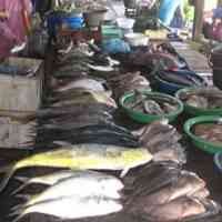 Cuaca Ekstrem, Ikan Laut Mulai Langka di Pasar