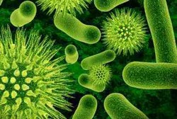 Toxic Shock Syndrome, Komplikasi Infeksi Bakteri