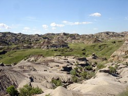 Bertemu Dinosaurus & Manusia Purba di 3 Tempat Ini