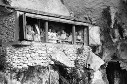 Meninggal dengan Meriah di Tana Toraja