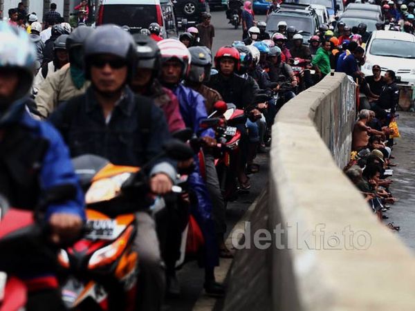 Cililitan Mengular Panjang