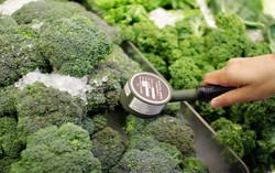 China Berikan Hadiah Rp. 433 Juta kepada Informan Keamanan Pangan