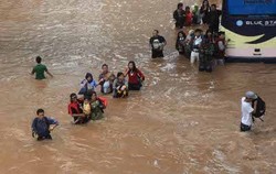 Ini Saran Bang Yos untuk Jokowi Tanggulangi Banjir