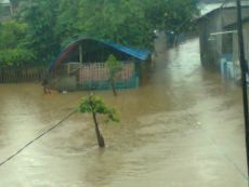  3 Hari Terjebak Banjir Seleher, Warga Kedoya Butuh Makanan