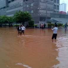 Thamrin Tenggelam, Sebagian Besar Kantor Libur