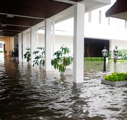 Lingkungan Istana Kepresidenan Terendam Banjir