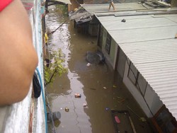 Rawa Buaya Cengkareng Tenggelam, Ratusan Warga Dievakuasi