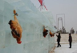 Duh! Turis Diminta Memanah Ayam Hidup di Festival Es Yanji
