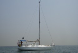 Cruise, Tren Wisata Mewah Indonesia Tahun 2013