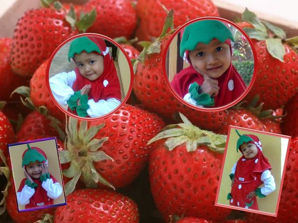 Aqila Sakha Izzatunnisa, 3,5 Tahun, Perempuan