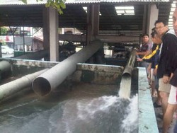 Pluit Tenggelam, Banjir Capai 1,5 Meter
