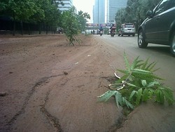 Dua Pemotor Jatuh Kepeleset Endapan Lumpur di Jalan Thamrin