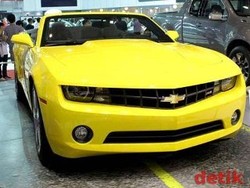 Camaro Pecundangi Mustang