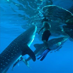 Wow! Fotografer Indonesia Jadi Finalis Kontes Foto Dunia