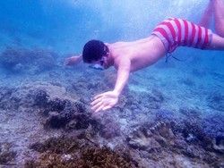 Derawan, Surga Penyelaman Terbaik Setelah Raja Ampat